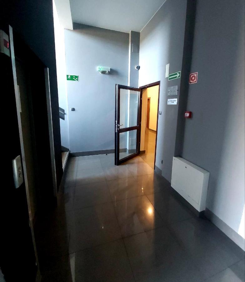 Vigo 3*